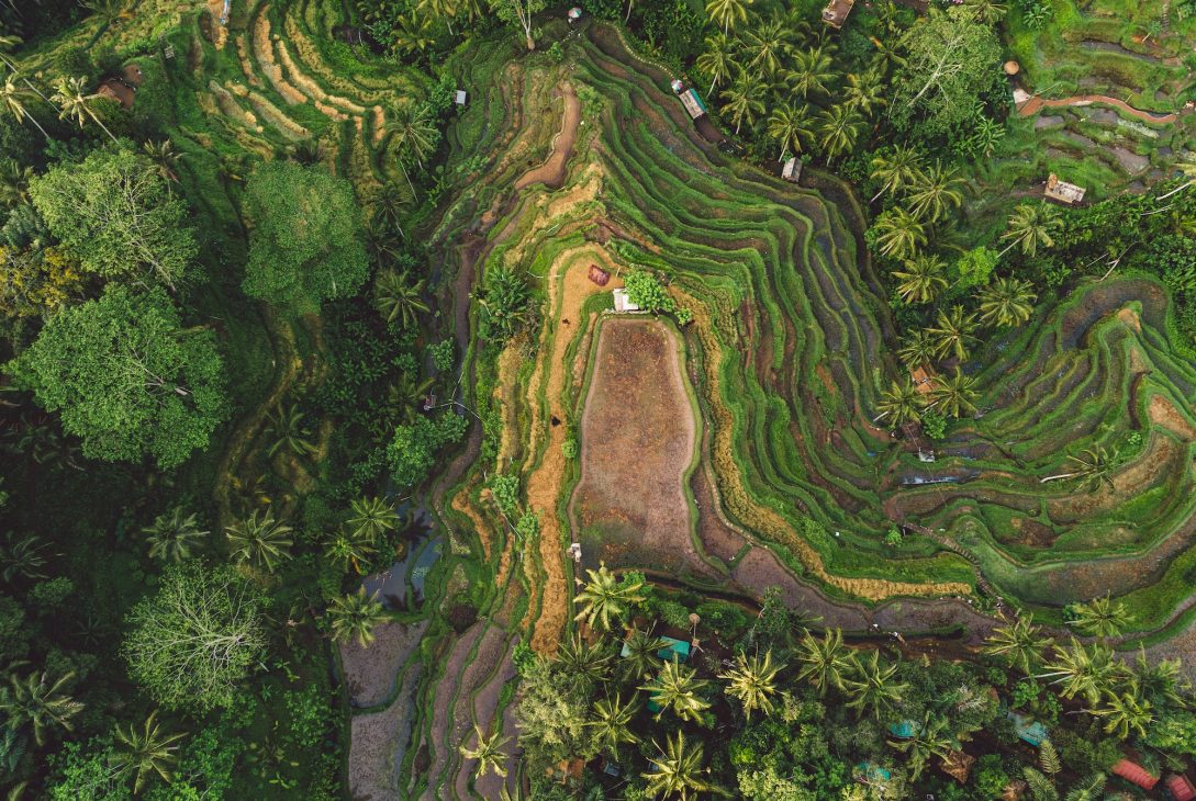 Découvrez les merveilles de Bali